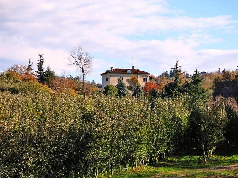 Cascina Bringin Apartment มอนโดวี ภายนอก รูปภาพ